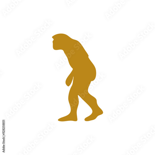 Human evolution illustration