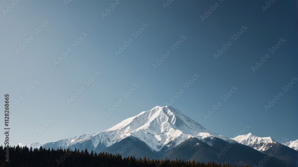 Fototapeta premium a clear blue sky