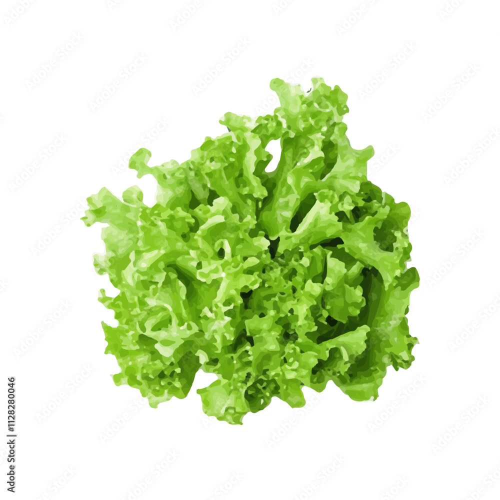 isolated watercolor fresh green vegetables isolated watercolor fresh green vegetables