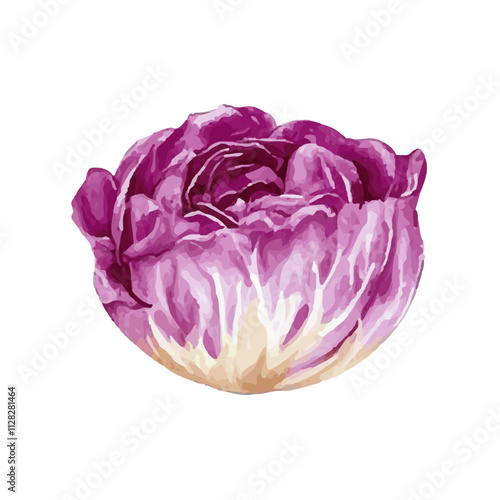 isolated fresh realistic watercolor with white background