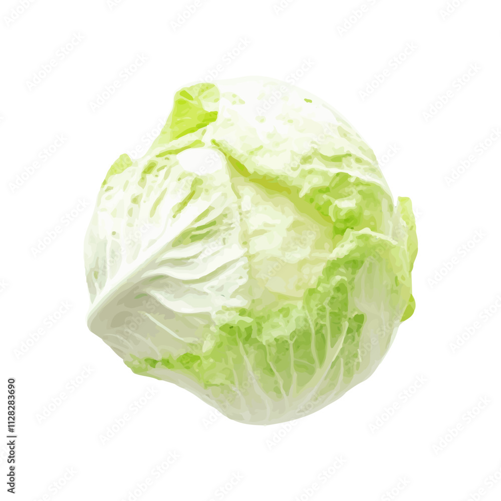 isolated watercolor fresh green vegetables isolated watercolor fresh green vegetables