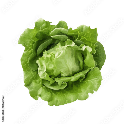 isolated fresh green vegetables realistic watercolor