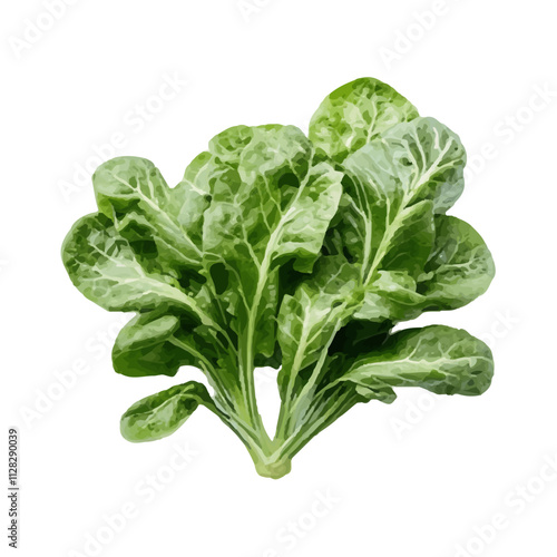 isolated fresh green vegetables realistic watercolor