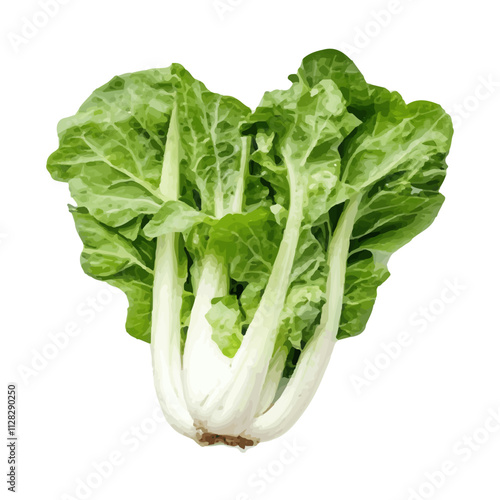 isolated fresh green vegetables realistic watercolor