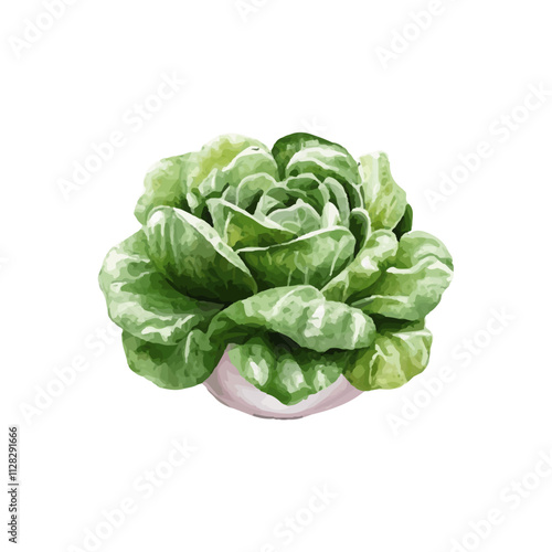 isolated fresh green vegetables realistic watercolor
