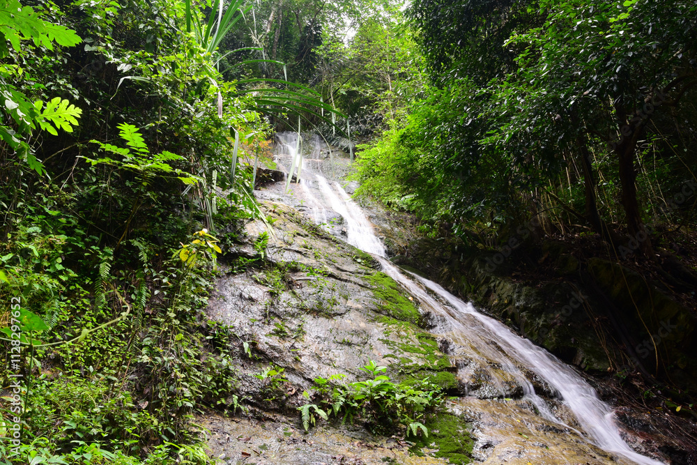 waterfall in the middle of the forest waterfall in the middle of the forest