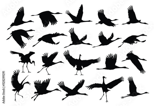 A set of silhouettes of the flying cranes.
