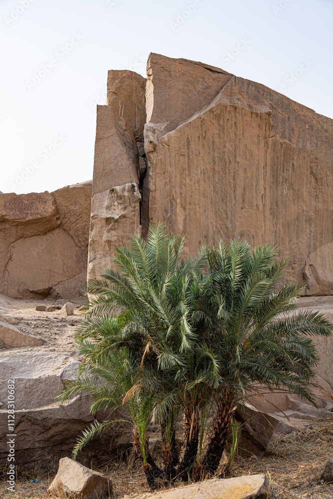 Ancient stone pit in the city of Aswan