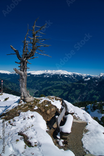 Österreich Wanderung am Penkenjoch am Zillertal/Salzburger Land photo