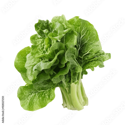 isolated fresh green vegetables realistic watercolor