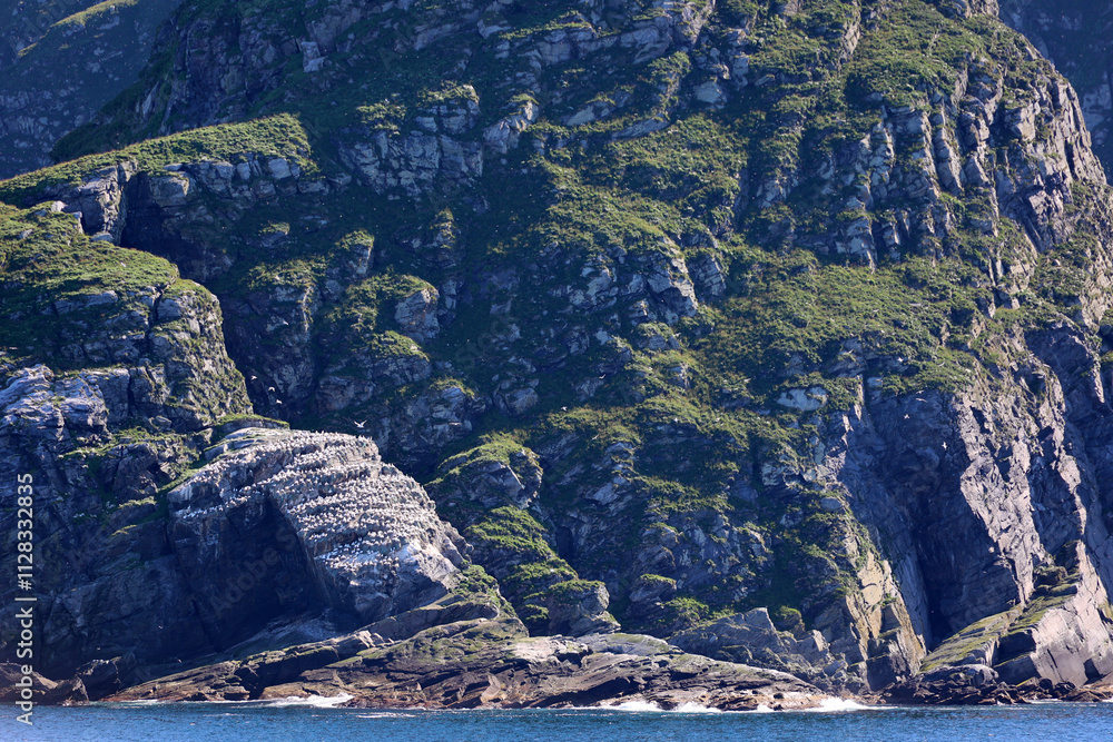 Hjelmsoya there is a large bird cliff called Hjelmsoystauren, Norway Hjelmsoya there is a large bird cliff called Hjelmsoystauren, Norway