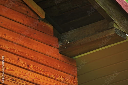 bird's nest, under the roof of a wooden house