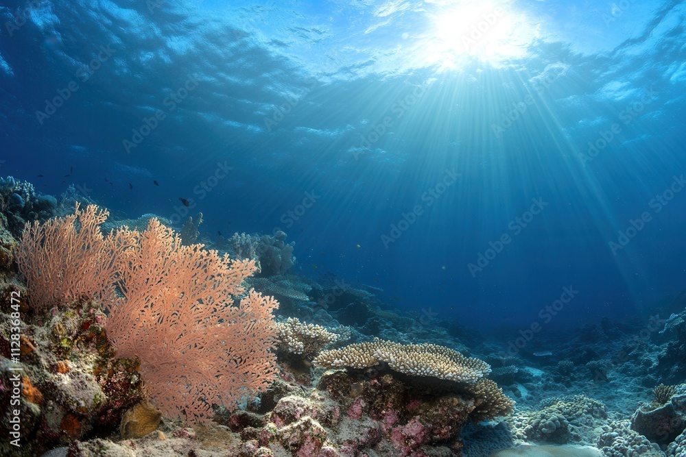 Naklejka premium Vibrant underwater scene with coral and sunlight.