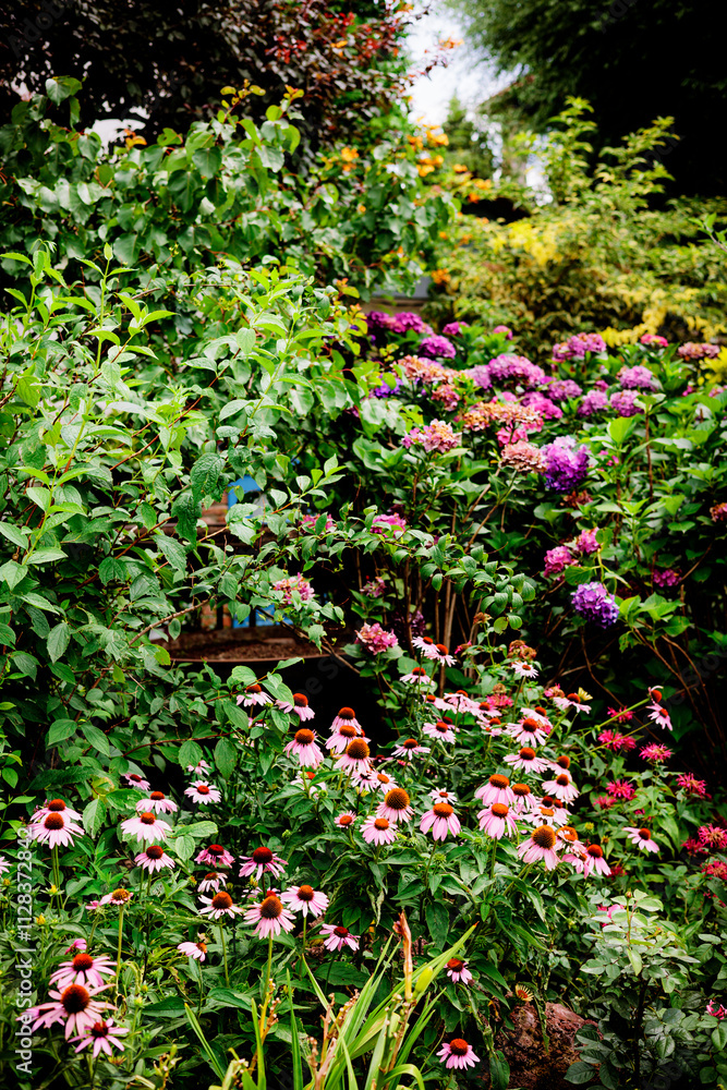 Lush garden with vibrant hydrangeas and dense greenery, perfect for nature lovers. Bright colors and cozy atmosphere ideal for floral and landscaping inspiration Lush garden with vibrant hydrangeas and dense greenery, perfect for nature lovers. Bright colors and cozy atmosphere ideal for floral and landscaping inspiration