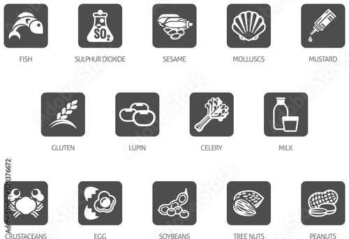 Food allergen allergy icons. include big 8 FDA Major Allergens and 14 food allergies from the EU Food Information for Consumers Regulation EFSA European Food Safety Authority Annex II