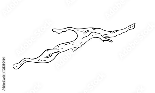 Driftwood black white vector illustration isolated on white. Gnarly branch, bark tree hand drawn graphic monochrome. Uneven tree branch, natural wood element for design. Dried tree branch sketch.