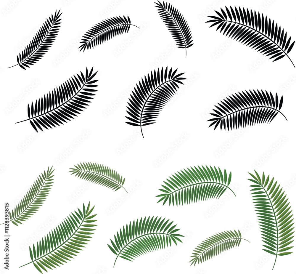 Palm Leaves Palm Leaves