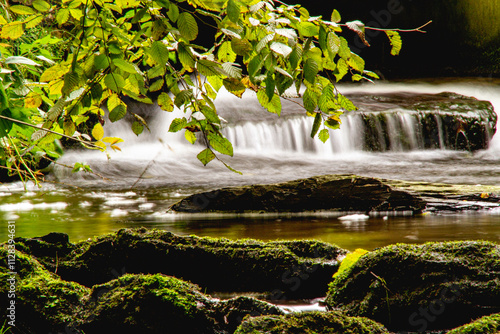 eau ruisseau campagne nature 