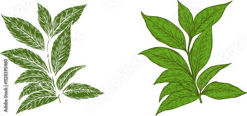 Green tea branch with leafs in hand draw style sketch isolated on clean background. Color cartoon vector illustration.