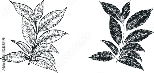 Green tea branch with leafs in hand draw style sketch isolated on clean background. Monochrome cartoon vector illustration.
