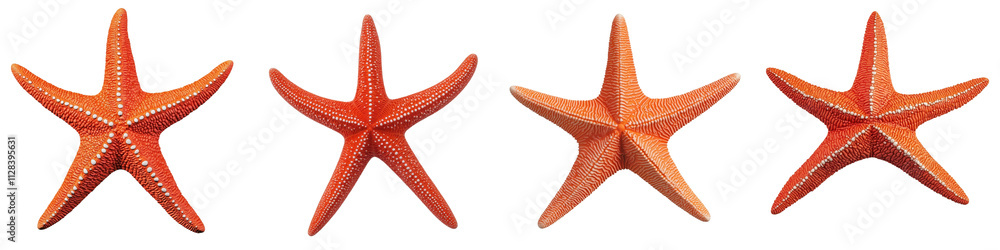 Vibrant Starfish in Various Angles on Blue Ocean Background Colorful Marine Sealife Specimens against Tranquil Tropical Underwater Seascape Vibrant Starfish in Various Angles on Blue Ocean Background Colorful Marine Sealife Specimens against Tranquil Tropical Underwater Seascape