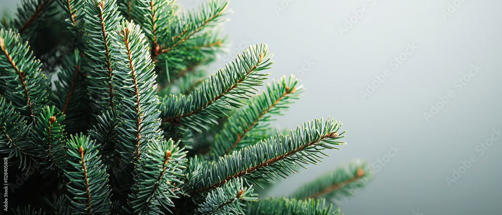 Flat lay of natural fir-tree or spruce on empty background. Minimalist and trendy background. Mock up for winter, holidays, eco-friendly branding. Copy space.Generative ai Flat lay of natural fir-tree or spruce on empty background. Minimalist and trendy background. Mock up for winter, holidays, eco-friendly branding. Copy space.Generative ai
