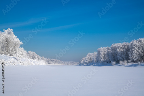 Winter, frosty and sunny mornings. Winter landscape and trees in the frost. Lots of free space for your text.