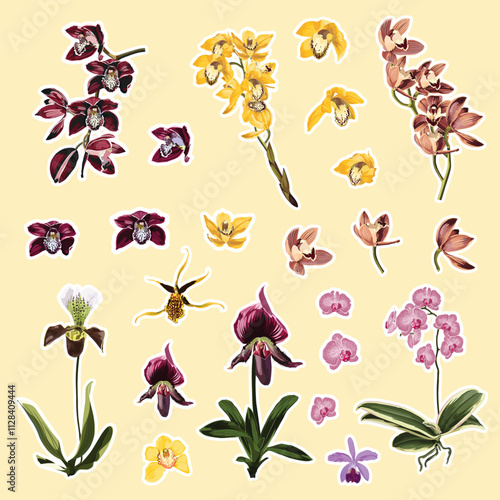 Set of tropical orchids flowers elements. Set of stickers, pins, patches and handwritten notes collection stikers kit.