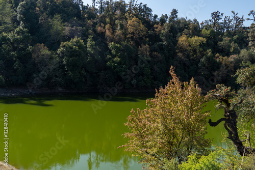 A serene green lake is surrounded by a dense forest of lush trees in varying shades of green and autumn hues. The vibrant foliage contrasts beautifully with the calm, reflective waters of deoria lake. photo