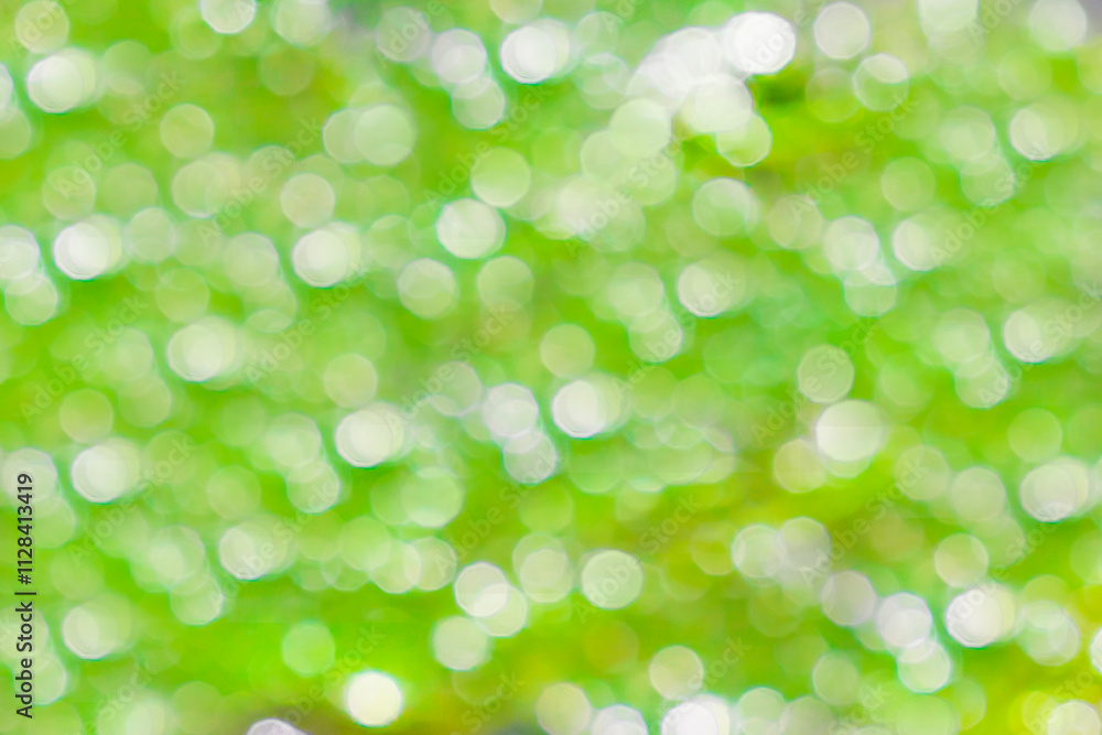This photo was taken from natural grass growing on the water surface in Myanmar. The photo is out of focus, blurring the background and giving it beautiful, modern colors. This photo was taken from natural grass growing on the water surface in Myanmar. The photo is out of focus, blurring the background and giving it beautiful, modern colors.