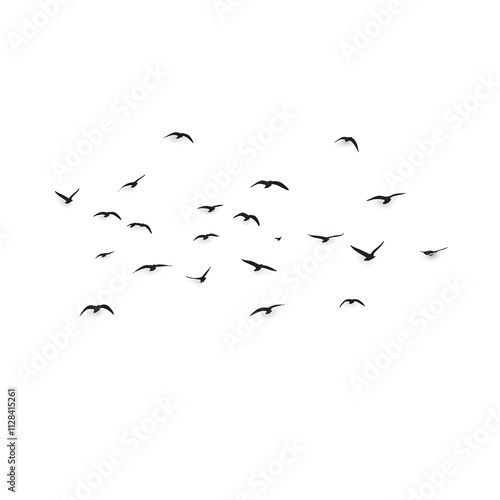 flock of birds, Birds Nature Flock royalty-free vector graphic