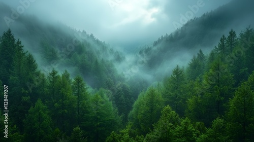 Natural scenery
