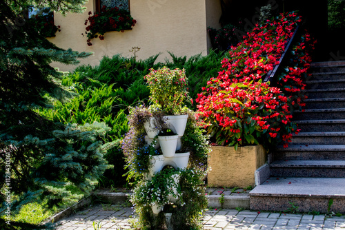 Fototapeta Naklejka Na Ścianę i Meble -  flowers in a garden