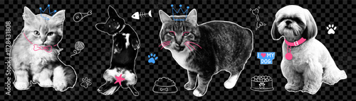 Modern collage set with funny cats and dogs in different poses with doodle elements. Trendy y2k aesthetic.