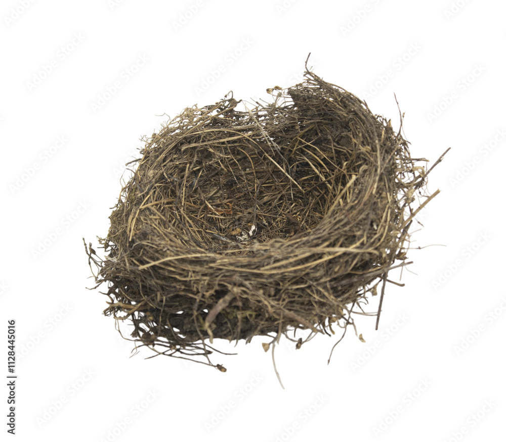 Obraz premium Empty bird nest isolated on transparent background