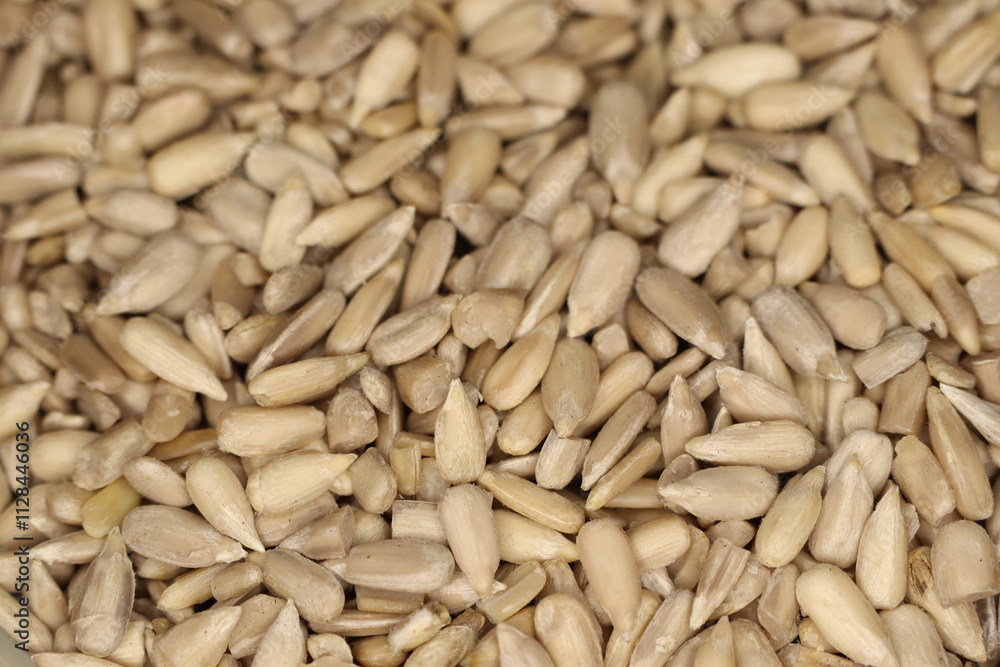 A closeup view of raw sunflower seeds beautifully displayed on a textured surface A closeup view of raw sunflower seeds beautifully displayed on a textured surface