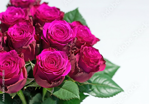 Bouquet of pink roses with green leaves, white background, horizontal, copy space