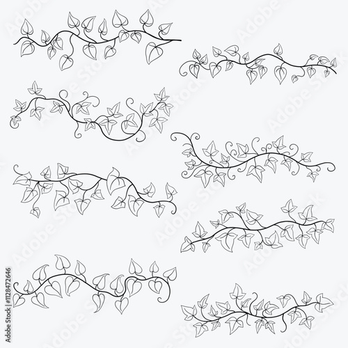Floral ivy drawing decorative ornament flat design collection.