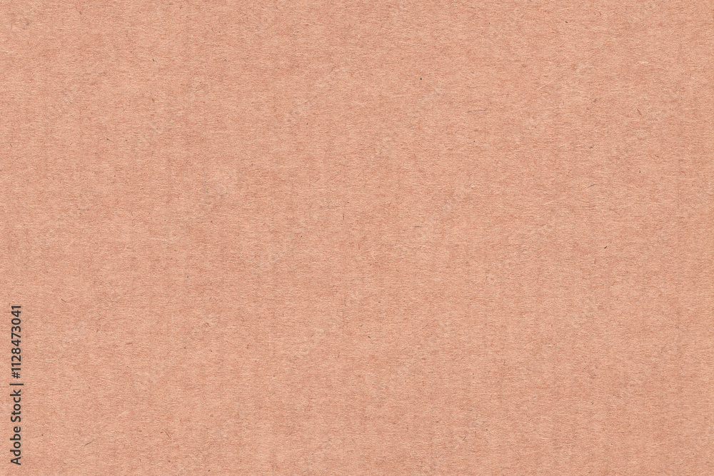 Fototapeta premium Craftsman's Cardboard Texture
