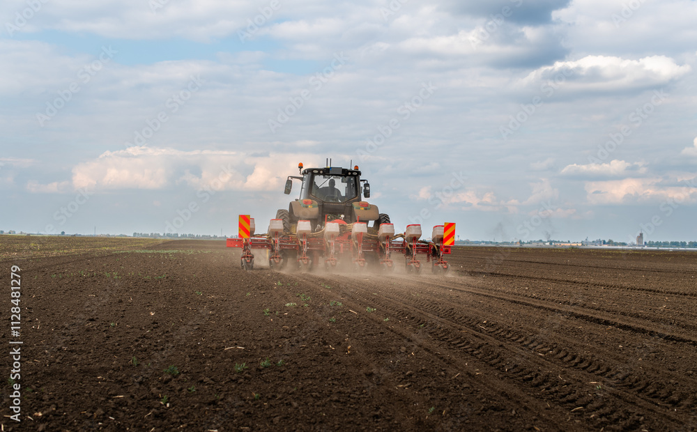 Fototapeta premium Farmer with tractor seeding in sunset