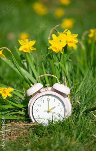 Alarm clock with daffodils flowers, switch to daylight saving time in spring, summer time changeover photo