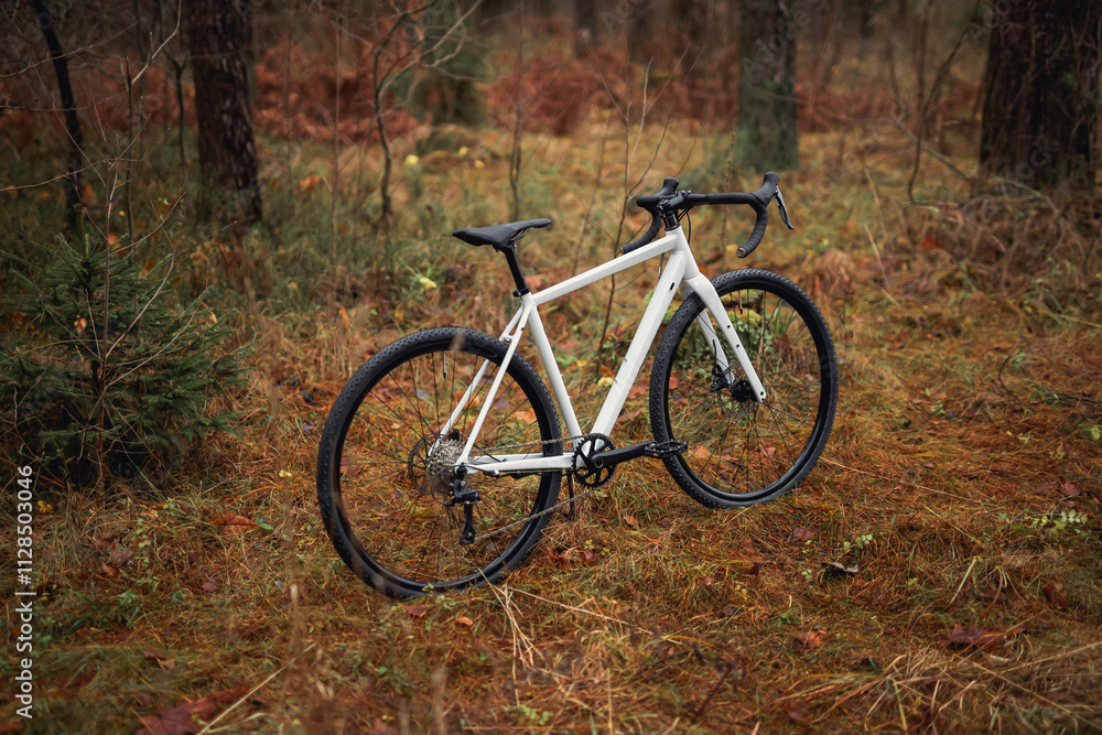 A bicycle resting on a forest path, surrounded by lush greenery and dappled sunlight, evoking a sense of tranquility and adventure. Ideal for themes of nature, solitude, and outdoor exploration A bicycle resting on a forest path, surrounded by lush greenery and dappled sunlight, evoking a sense of tranquility and adventure. Ideal for themes of nature, solitude, and outdoor exploration