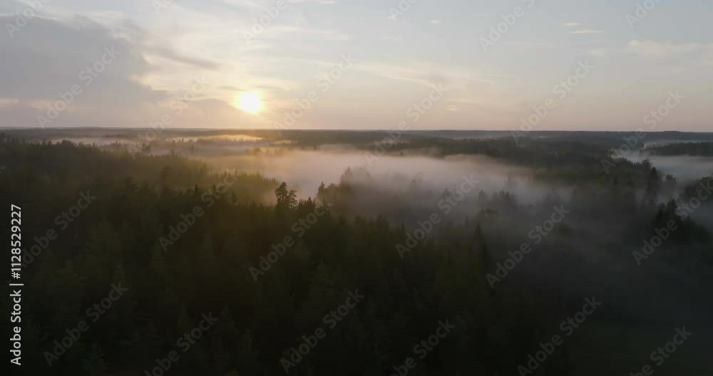 Panoramic drone shot circling misty forest, autumn evening in Scandinavia Panoramic drone shot circling misty forest, autumn evening in Scandinavia