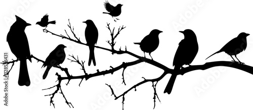 Vector silhouettes of birds perched on tree branches. Several species depicted, including songbirds and larger birds. Black illustration of avian diversity isolated on blank transparent background