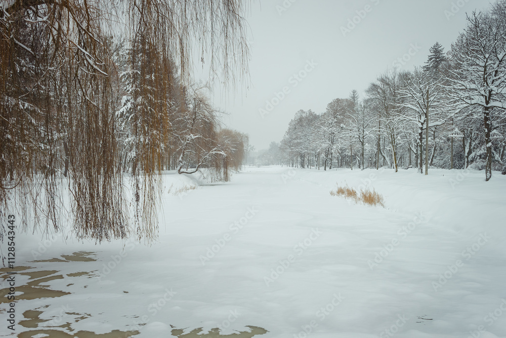 Fototapeta premium Winter park. View of the frozen canal 