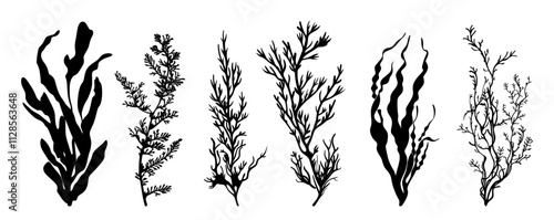 Seaweed icon vector set, ocean plant silhouette.