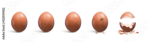Realistic broken egg with cracks and shell pieces, vector 3d chick hatching sequences, farm bird incubator or food themes. 3d broken brown egg with from whole to cracked and split eggshell stages