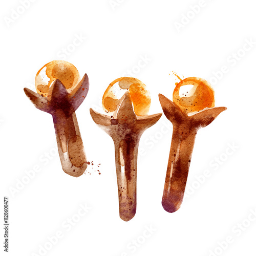 Watercolor clove spices. Isolated eco food ingredient illustration on white background