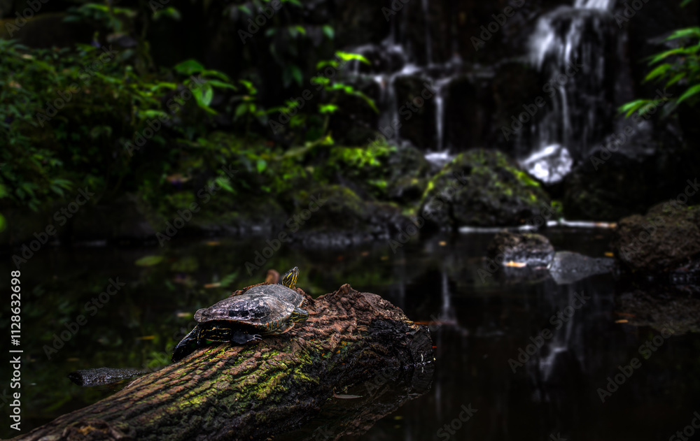 Turtle resting on log by a serene waterfall in a lush forest environment Turtle resting on log by a serene waterfall in a lush forest environment