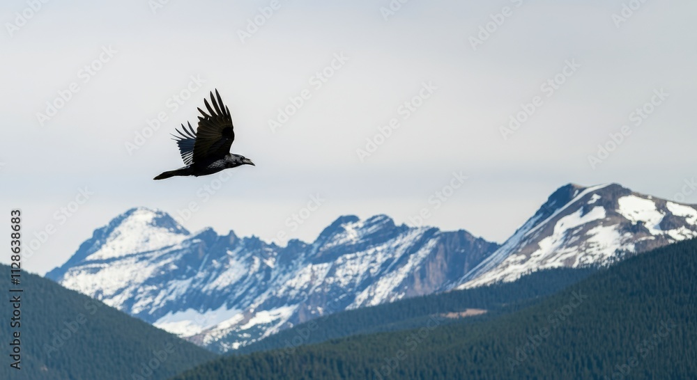 Majestic raven soaring over snow-capped mountains in serene winter landscape